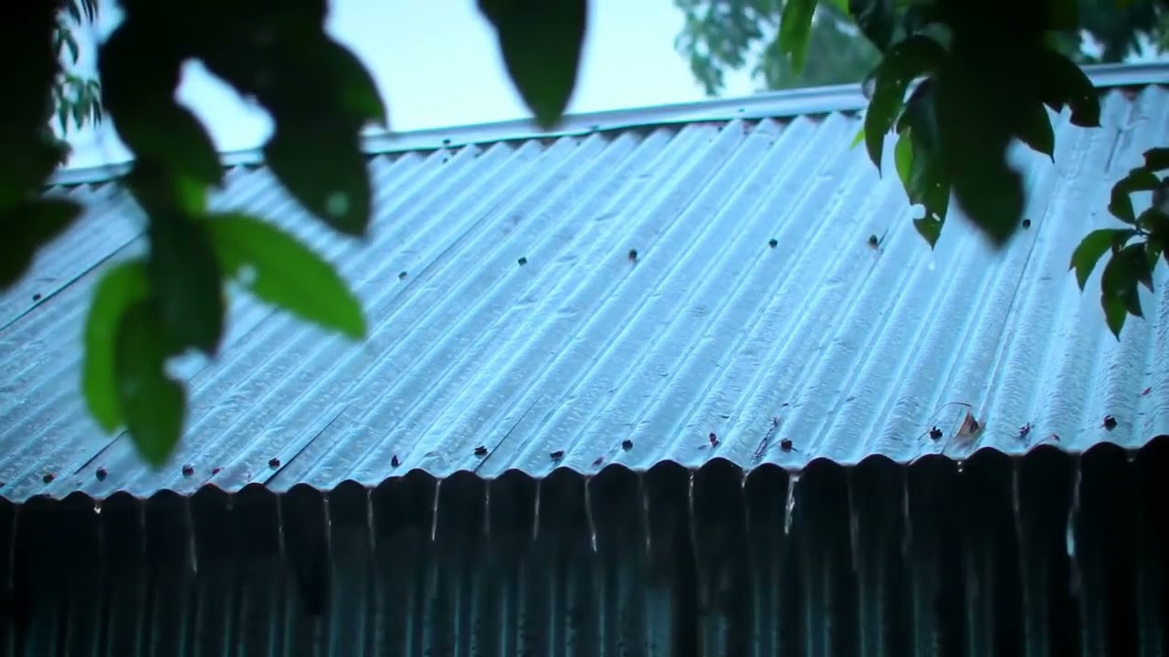 Best Rain Sounds for Sleeping  Heavy Rainstorm & Thunder on Garden House  Peaceful White Noise