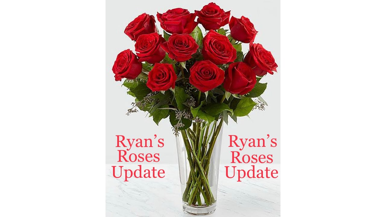 Ryan’s Roses with Follow-Up Included: Sara/John