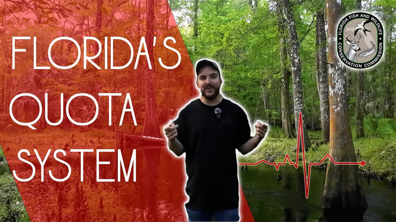 Demystifying Florida's Quota System | Understanding Wildlife Management