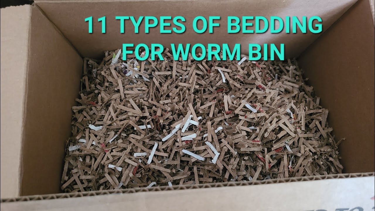 11 Types of Bedding For Worm Bin | Worm Farming Beginners Guide