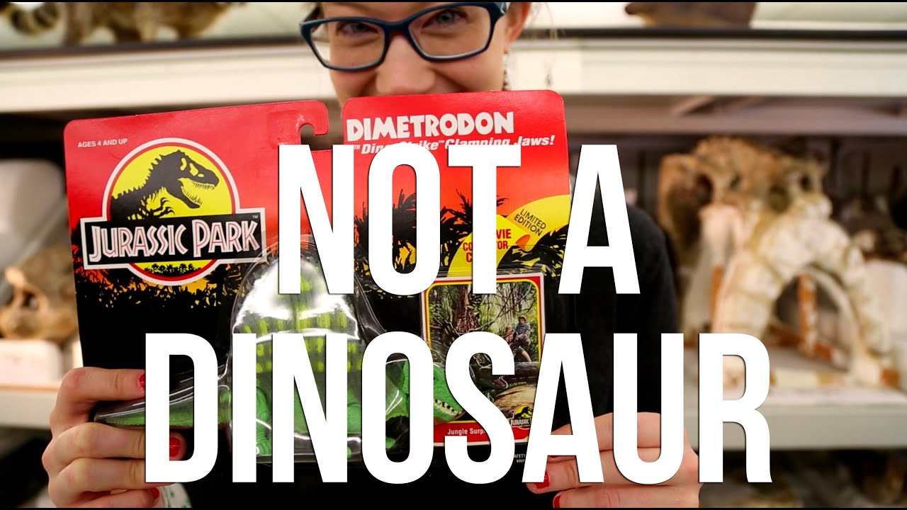 Dimetrodon is Not A Dinosaur