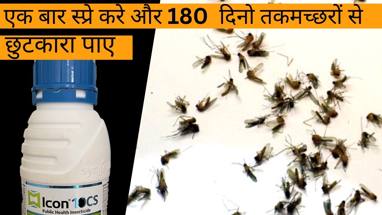 मच्छरों से बचने के उपाये  | Best mosquitos treatment pesticide | How to get rid of mosquitos