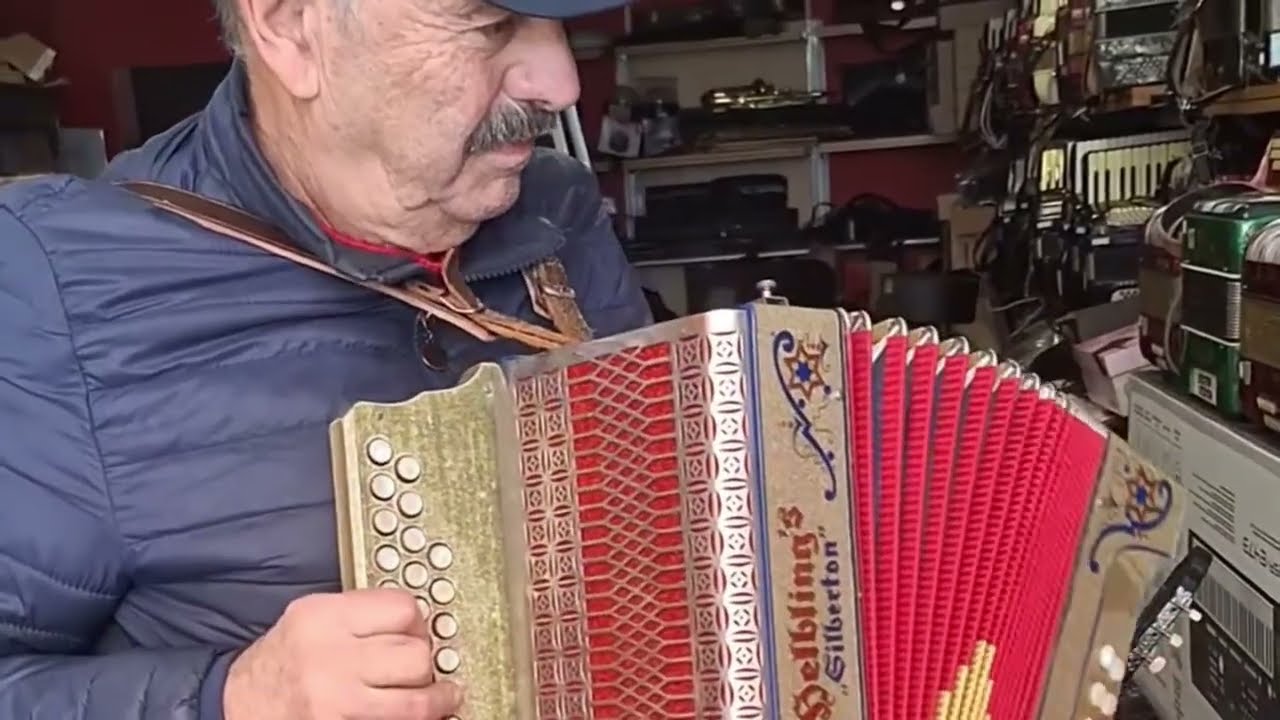 Uma Espetacular Concertina Tocada com Alma e Paixão. 🎶