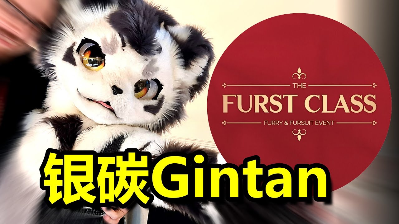 银碳Gintan during 'Furst Class' furry convention