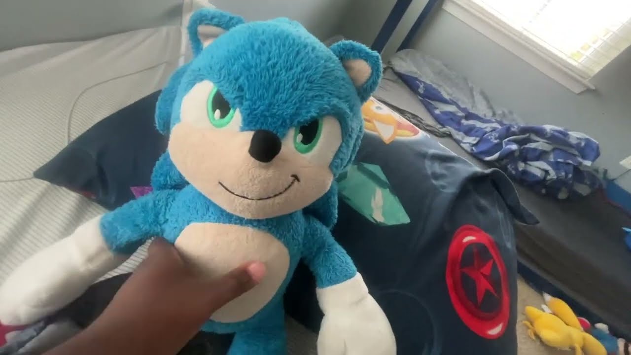 LOMSP: Sonic's Pilot 