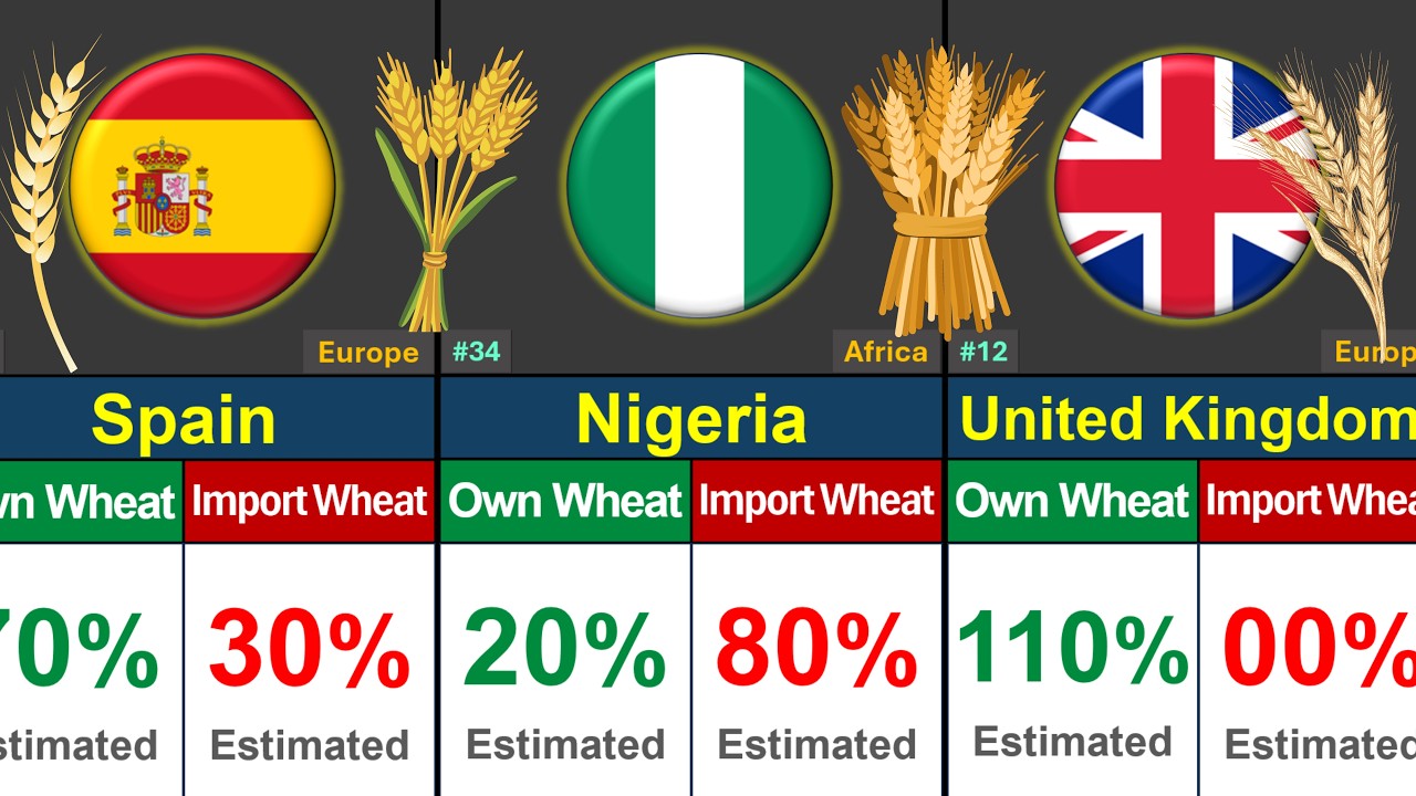 Top 50 Wheat Producing VS Importing Countries 2026 | Global Rank