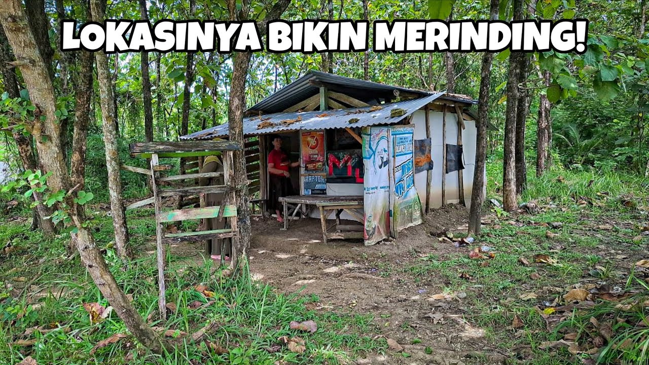 Nekat Jualan Sendirian di Tengah Hutan