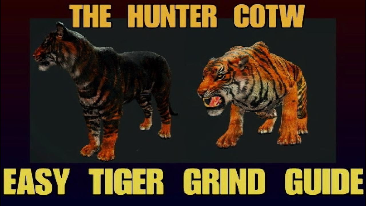 TIGER GRIND SUPER EASY GUIDE. HUNT TIGERS NON STOP THE HUNTER COTW Sundarpatan NEPAL RESERVE