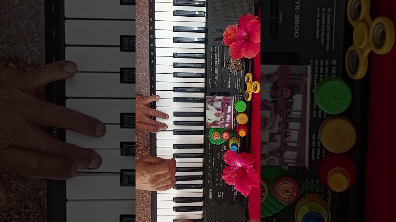 Oka Devata 2 - Ninne Premistha - Keyboard SA Rajkumar SPB Telugu Hits 