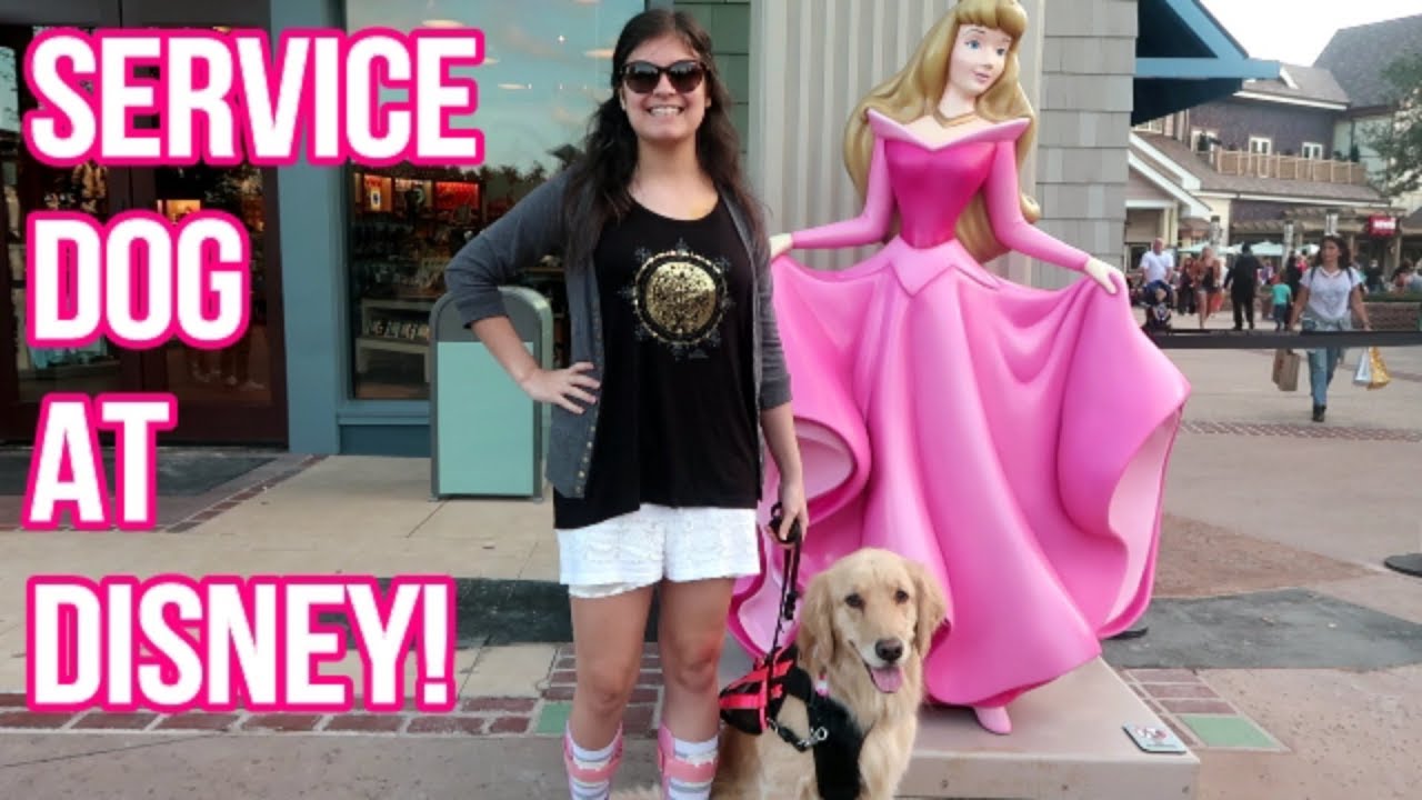 🐾 Service Dog Training at Disney: Revisiting Past Behavior Problems! 😬 (1/23/19)