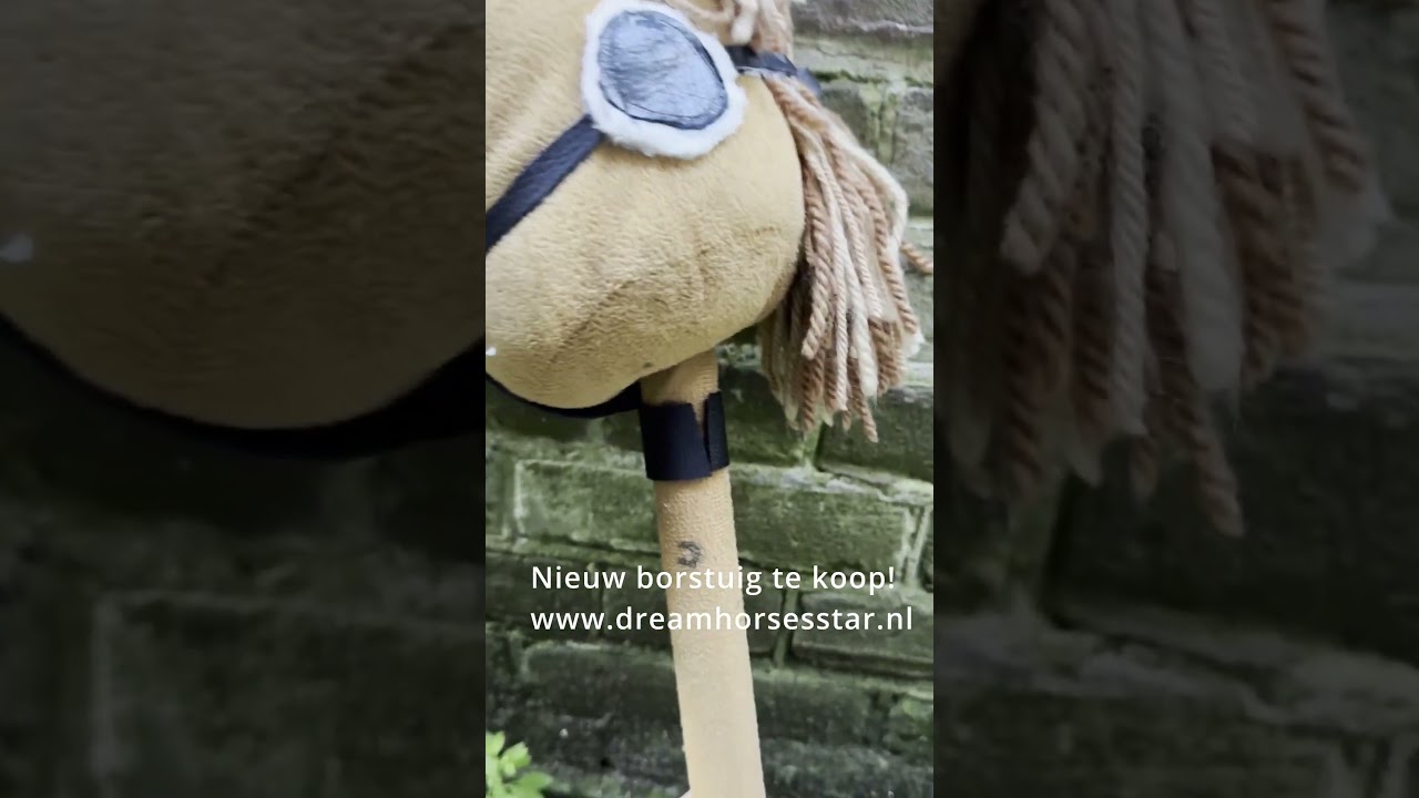 Borstuig te koop #youtubeshorts