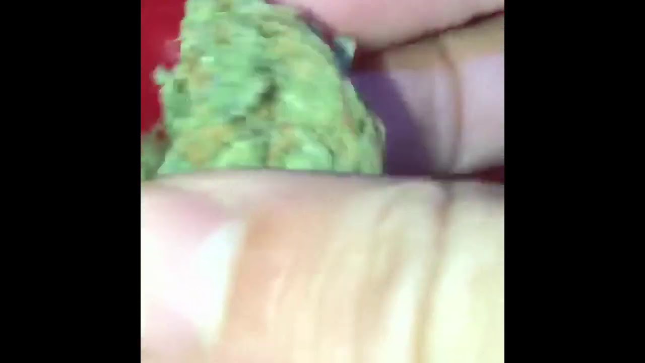 Liberty Haze Fire Bud 💨🔥
