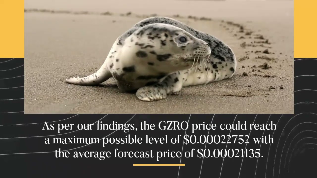 Gravity Price Prediction 2022, 2025, 2030  GZRO Cryptocurrency Price Prediction