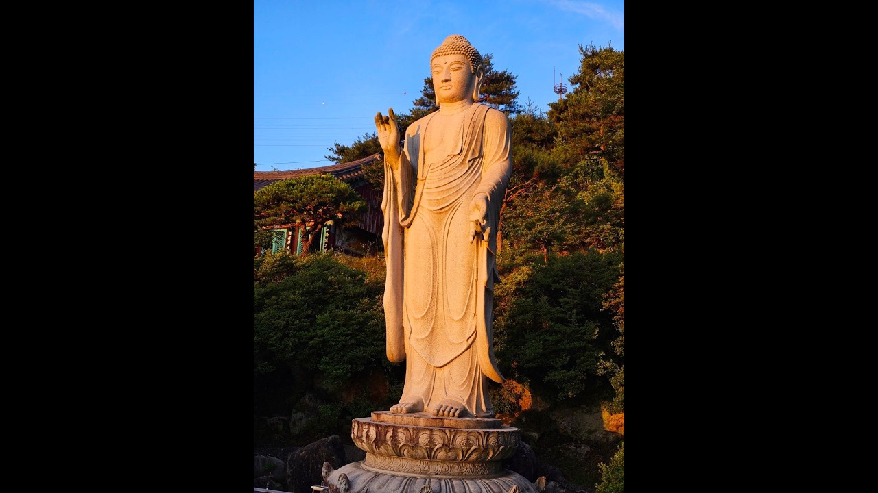 세종 영평사 대종사 광원 환성 큰스님 정월대보름 인사말
