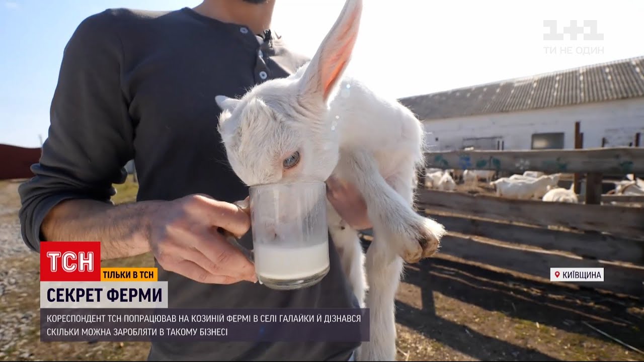 Спецпроект 