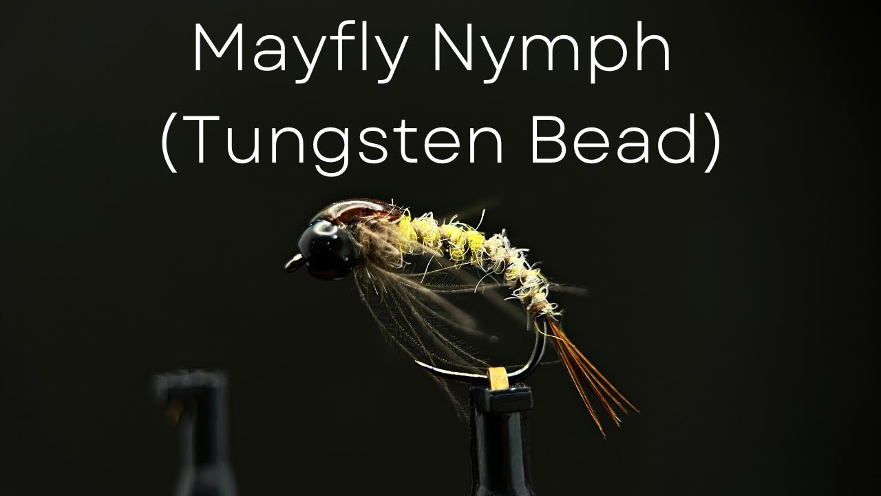 Trout & Grayling Fly Tying Tutorial - Mayfly Nymph (Tungsten Beaded)