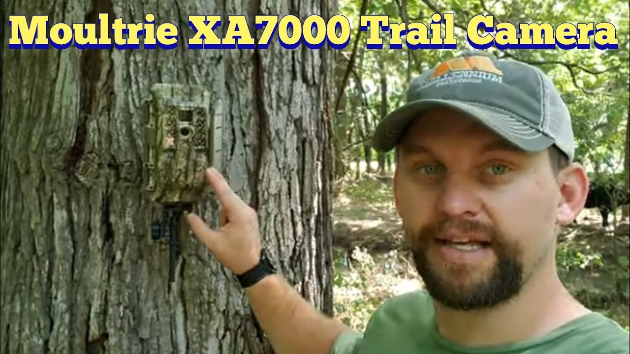 Moultrie XA7000 and XV7000 cellular trail camera | KOAM Outdoors Reviews