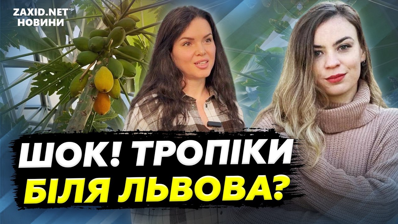 Тропічний Рай біля Львова: Неймовірна Оранжерея з Тисячами Екзотичних Рослин 🌴🍋