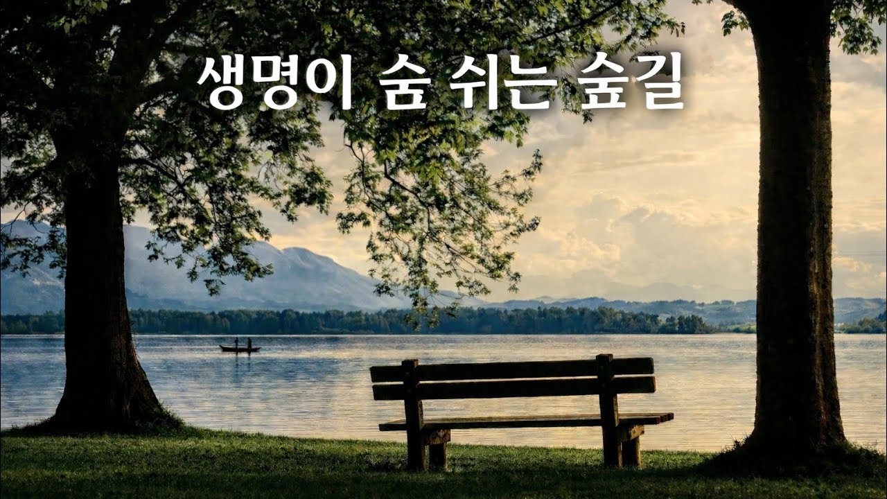 생명이 숨 쉬는 숲길 | Forest Path of Life | Healing Meditation