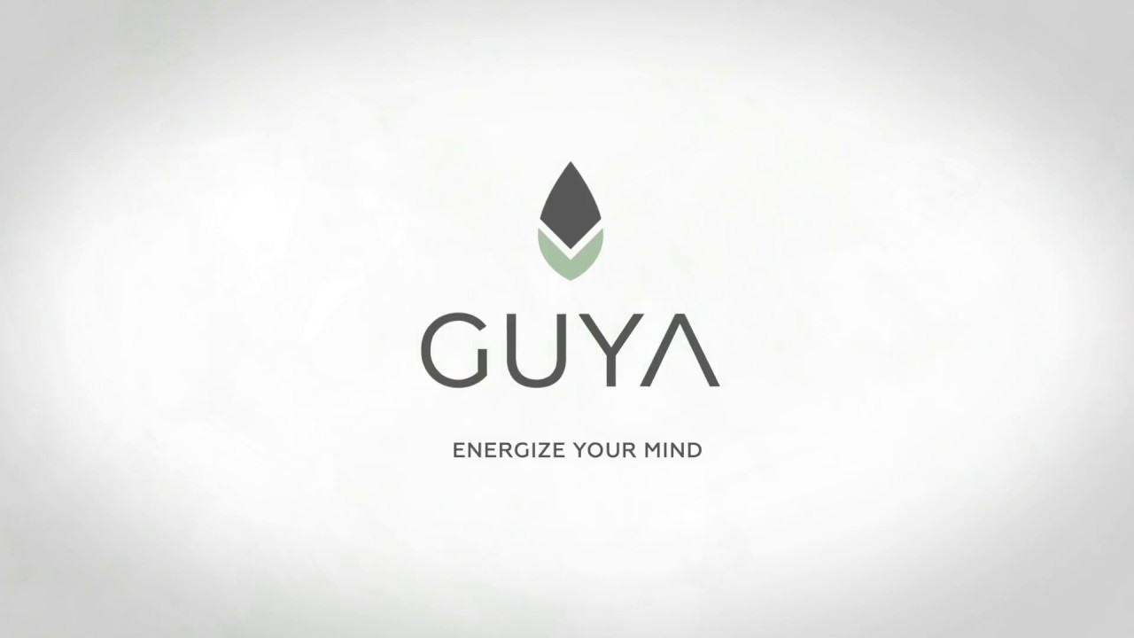 Zubereitung von Guayusa Tee - wie viel, wie lange? Guayusa Energy Tee