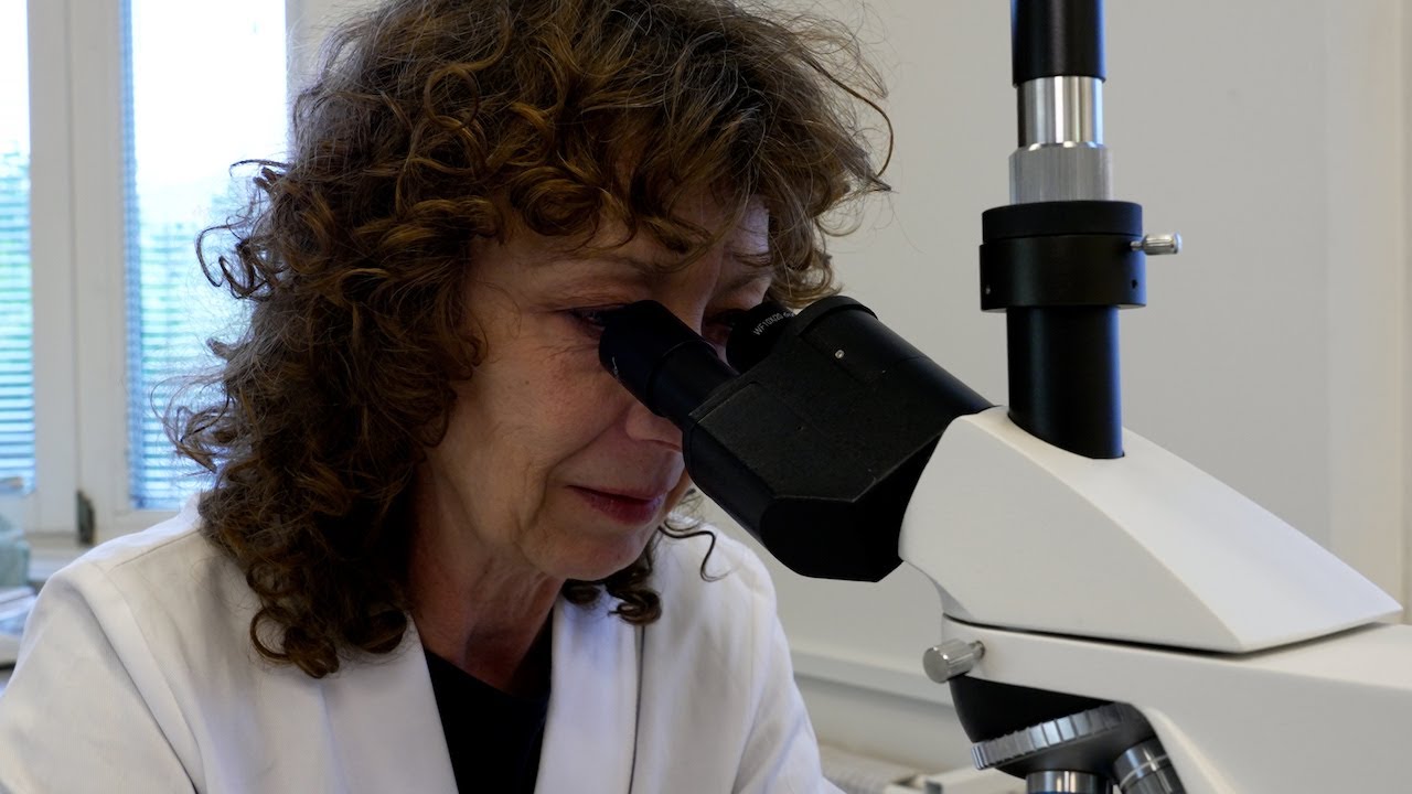 Skimmelsvamp i betonbyggeri /// Mold on concrete in the indoor climate.