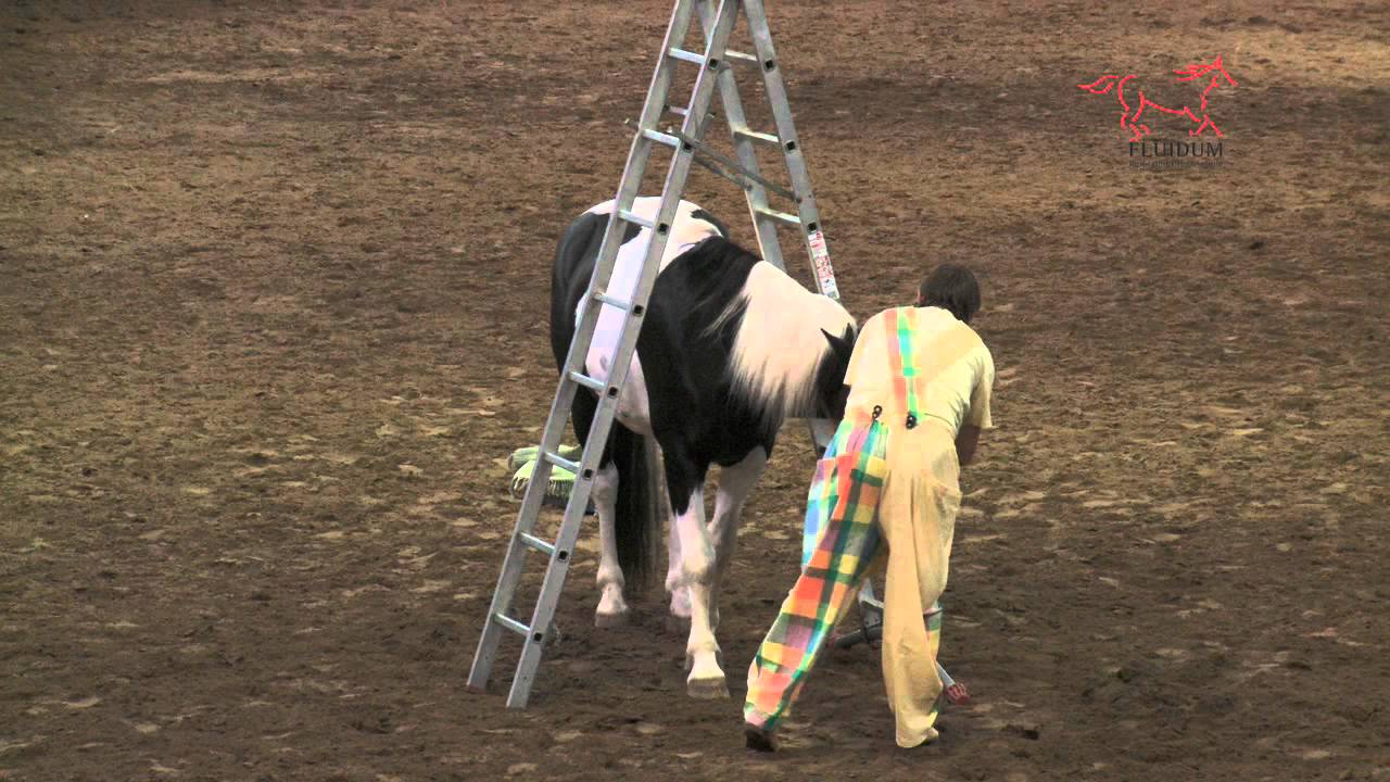 Clown mit Pferd DIDO & JACK Fluidum Reitschule