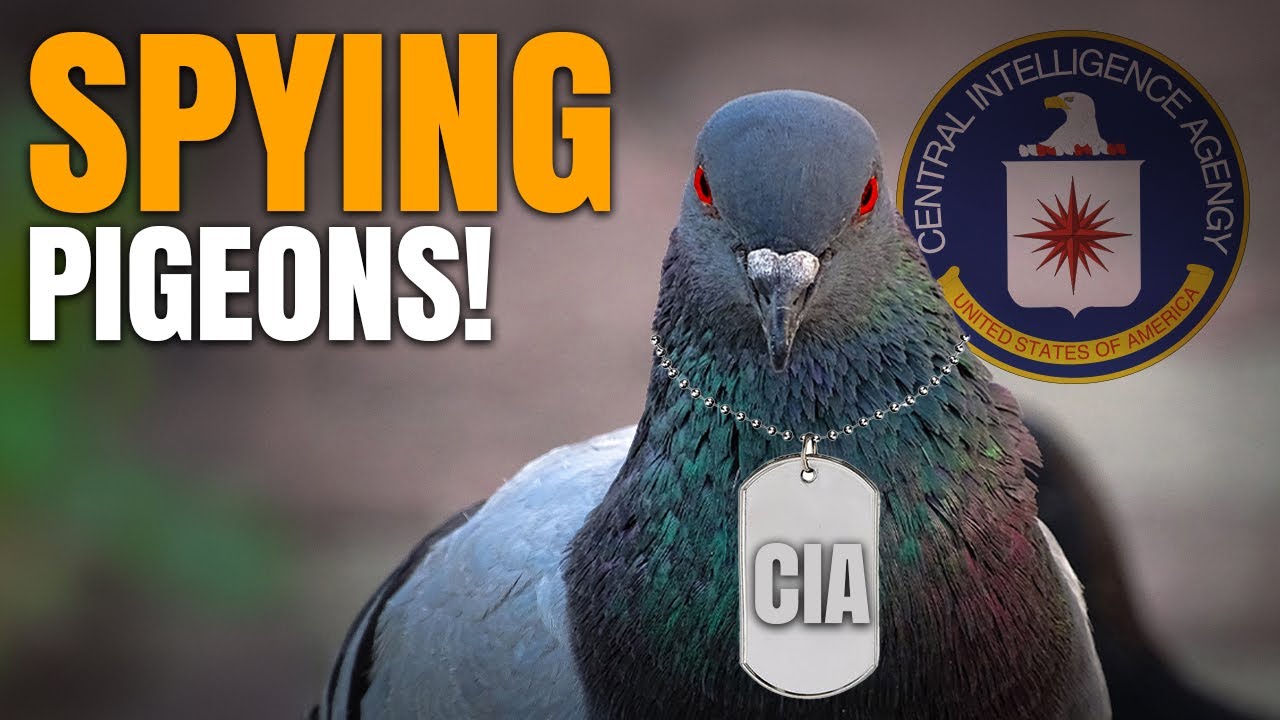 Uncovering the Most Insane CIA Covert Operations!