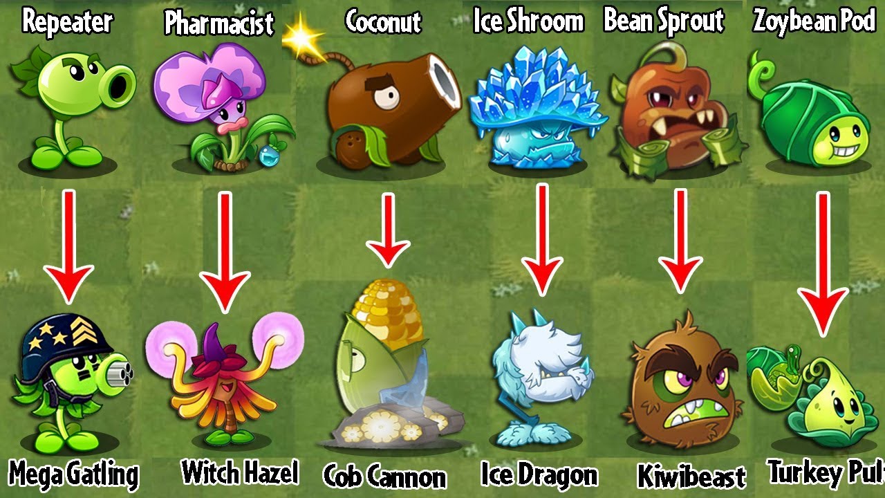 PvZ 2 Discovery - Every Type Of Plants Evolution NOOB - PRO (International & China Version)