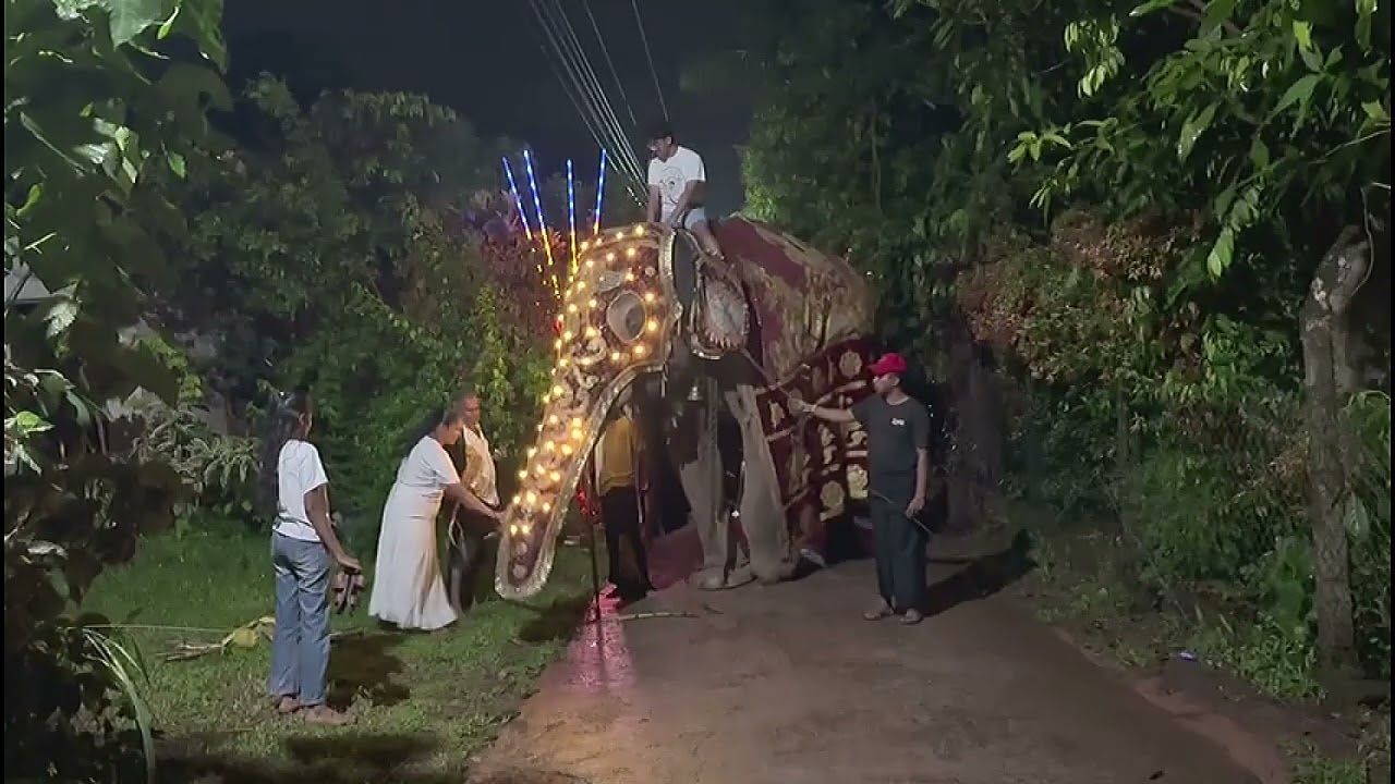 පෙරහරේ යන්නේ ඉතා කැමැත්තෙන් සහ බුද්ධාලම්භන ප්‍රීතියෙන් යුතුවය.ඒ උතුම් අවස්ථාවට දායකවූ කවීෂ් විජේසිංහ