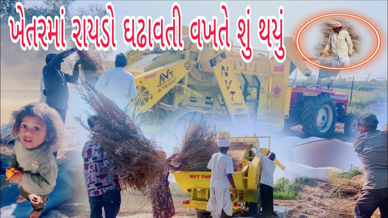 ખેતરમાં રાયડો કઢાવતી વખતે શું થયું Gujarati Vlog video #vairalvideo #familyvlog #vlog \A k Family 