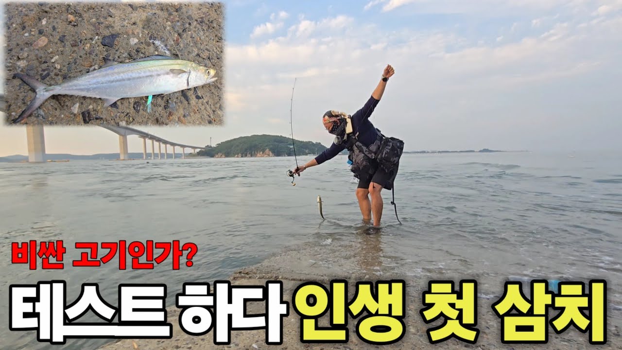 바다낚시 갔다가 인생 첫 삼치 잡았습니다｜삼치 손맛 실화 [낚시 수영 ep.8]