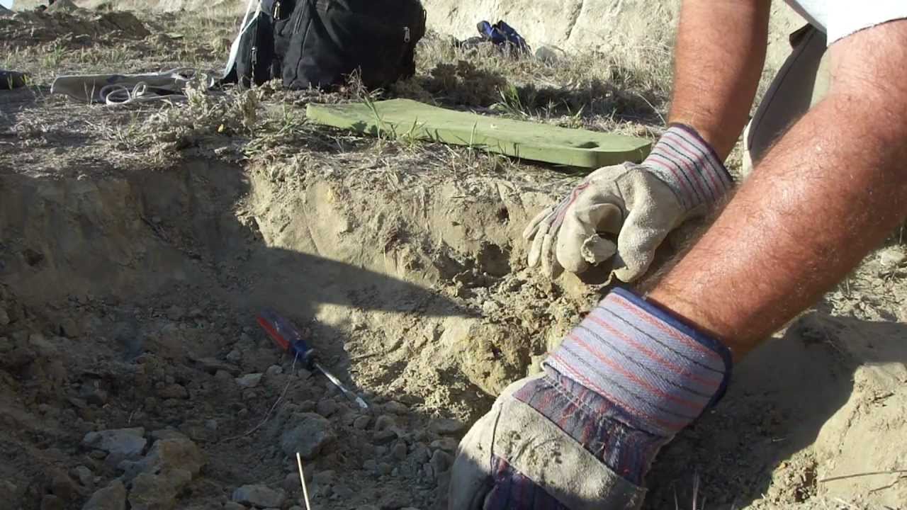Shark Tooth Hill Fossil Hunting Bakersfield CA Ernst Quarries