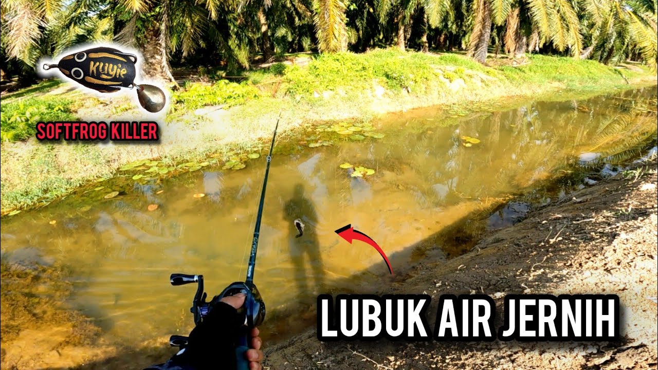 CASTING HARUAN | GASAK !! DARI JAUH DAH NAMPAK HARUAN DALAM AIR | FISHBAND HIGH SPEED | VLOG622