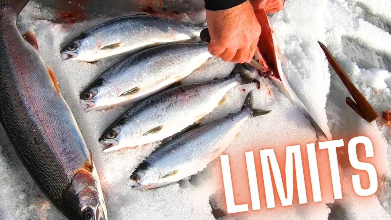 ICE FISHING TRIATHLON 3 LAKES / 3 SPECIES (How To Catch Kokanee)