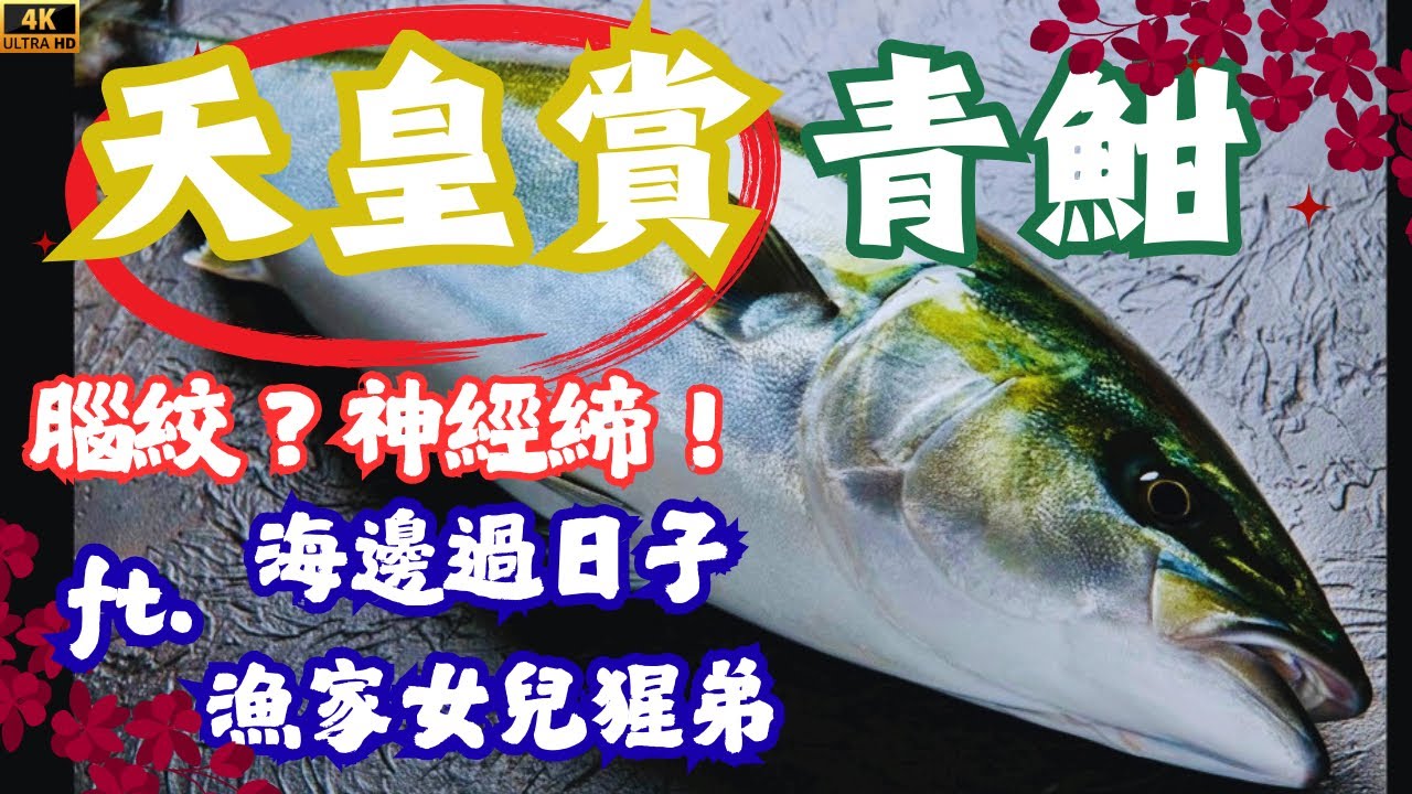 天皇賞青甘(鰤魚)的美味，現場腦絞、神經締的教學ft.海邊過日子、漁家女兒猩弟