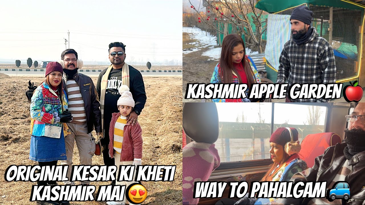 Aaj Humne Dekhe Original Kesar Ki Kheti 😍 | Kashmiri Apple Ke Garden 🍎 | Srinagar To  Pahalgam 🚙