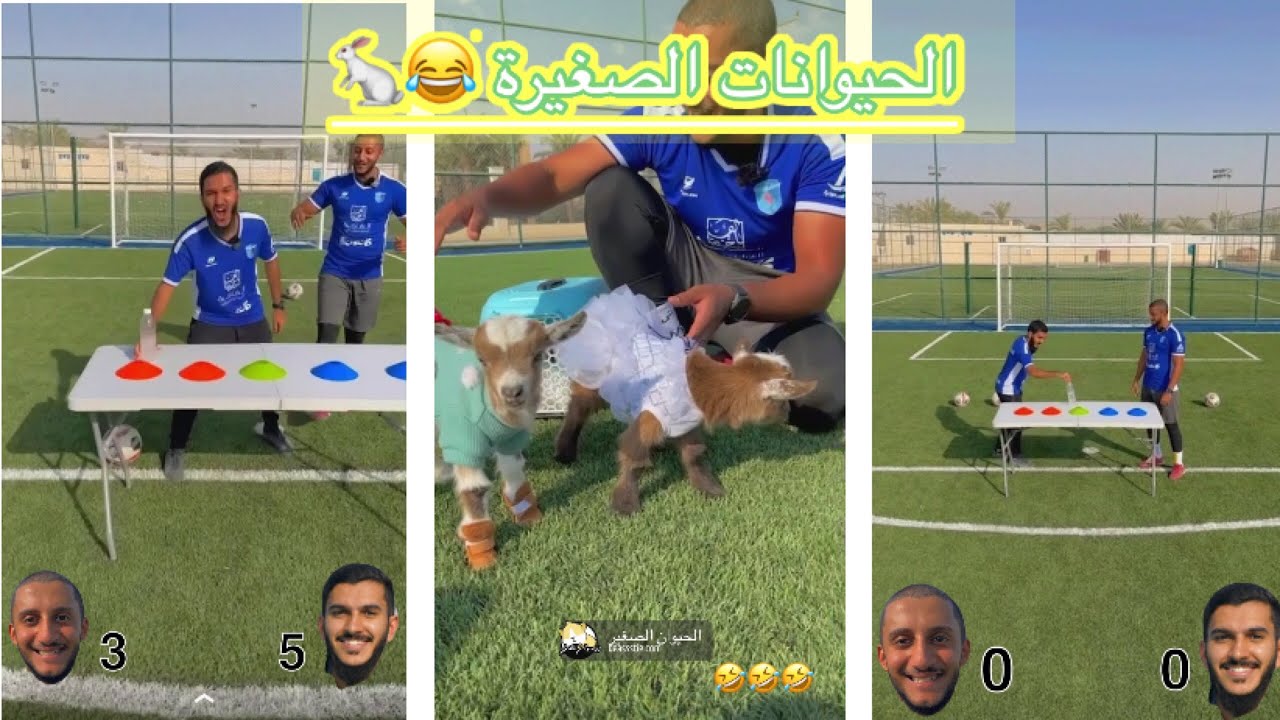 سناب فارس الحميد(فارس ضد وسيم ❤️😂معى الحيوانات الصغير 😂❤️)