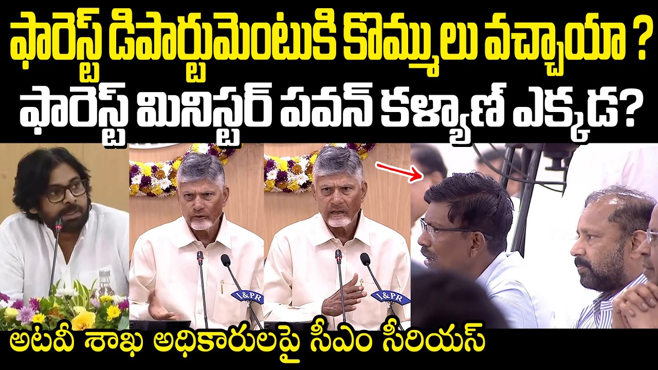 మీ ఆటిట్యూడ్ సరిగ్గా లేదు! అటవీ శాఖ అధికారులకు చుక్కలు చూపించిన సీఎం Chandrababu On Forest Officials