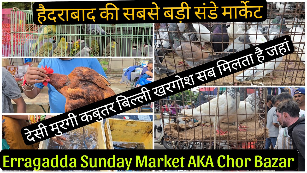 ERRAGADDA SUNDAY MARKET AKA CHOR BAZAR BIGGEST HOLIDAY MARKET FOR PETS | CLOTHES HOME IMPROVEMENT