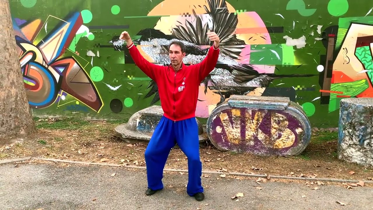 Wujigong e Taijigong by Fabio Smolari