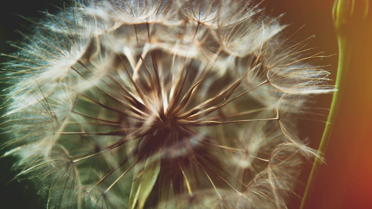 #iostoacasa - &copy; Diego Moro 2020