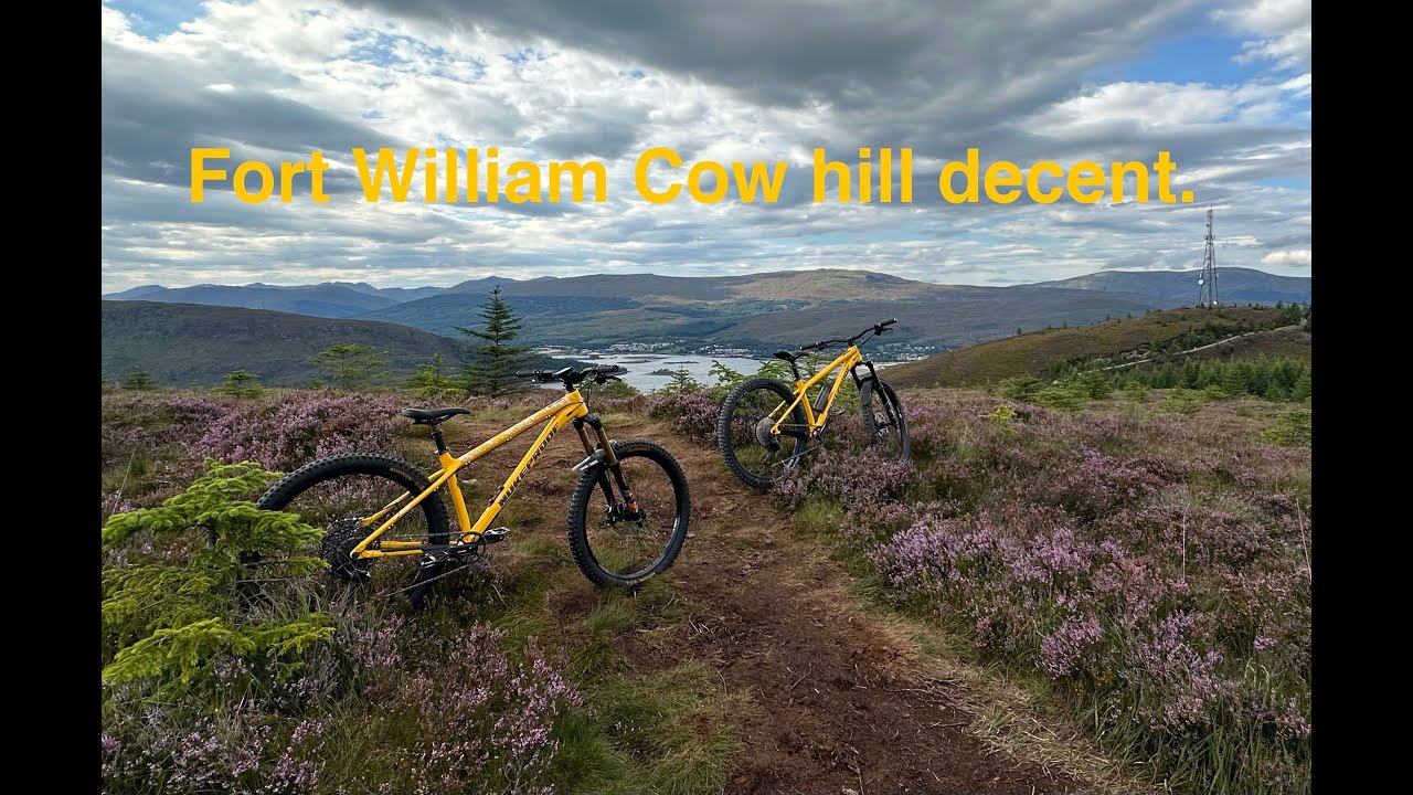 Speeding down Cow hill at Fort William on Nukeproof Scout mountain bikes.