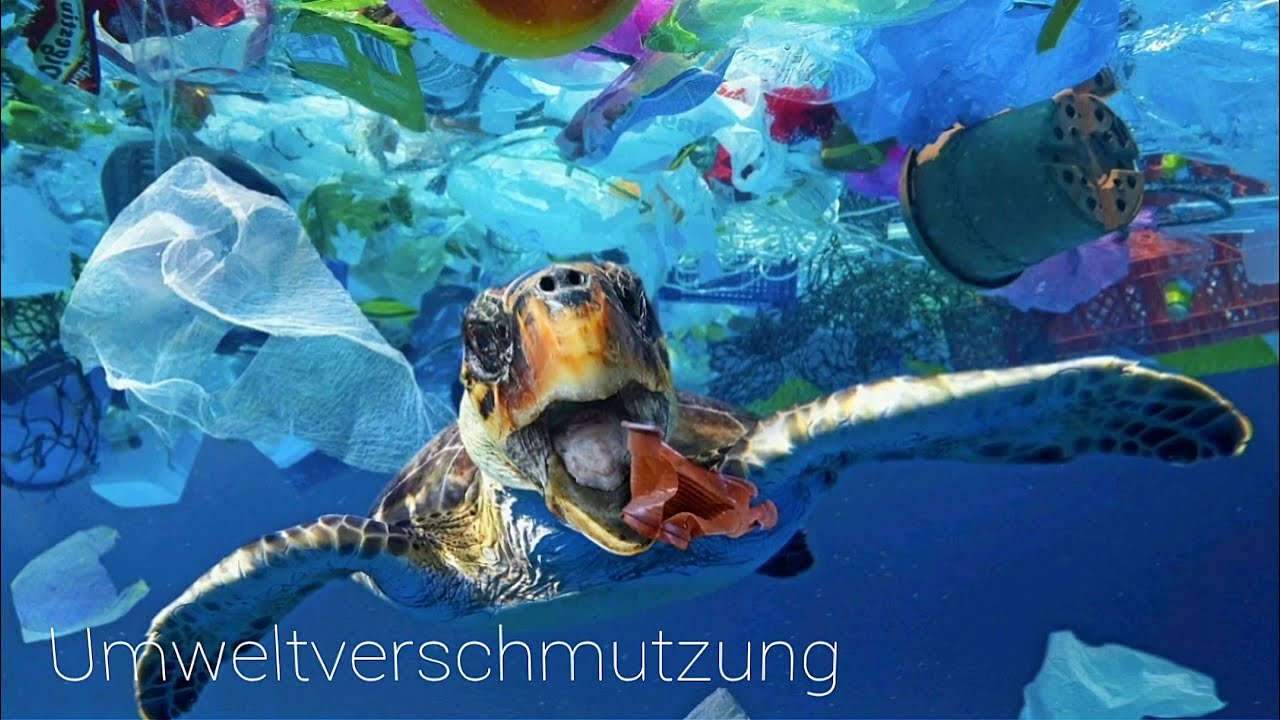 Umweltverschmutzung Globaler Wandel Klima