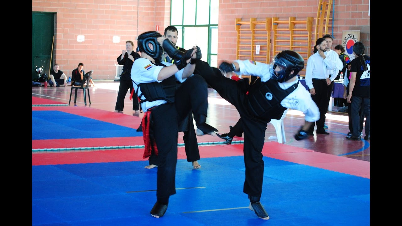 WHRDA Yongtoogi (Hwa Rang Do&reg; Quick Submit Fighting) Championships 2016