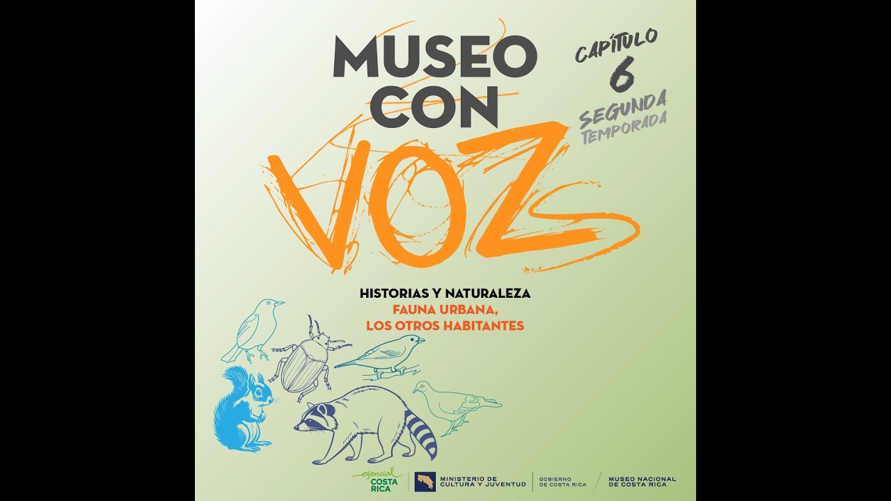🦝 Fauna urbana, los otros habitantes de las ciudades 🦫