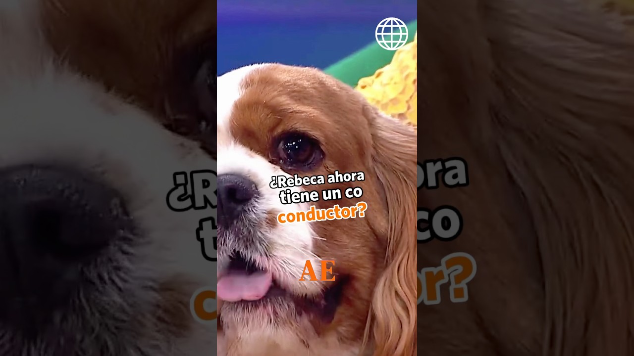 AM&Eacute;RICA ESPECT&Aacute;CULOS | &iquest;Rebeca Escribens tiene un co conductor? | #shorts