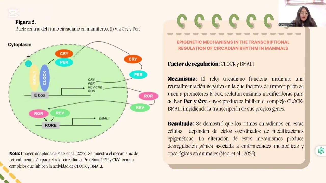 APE 1 - Actividad 1 Biotecnología Animal 