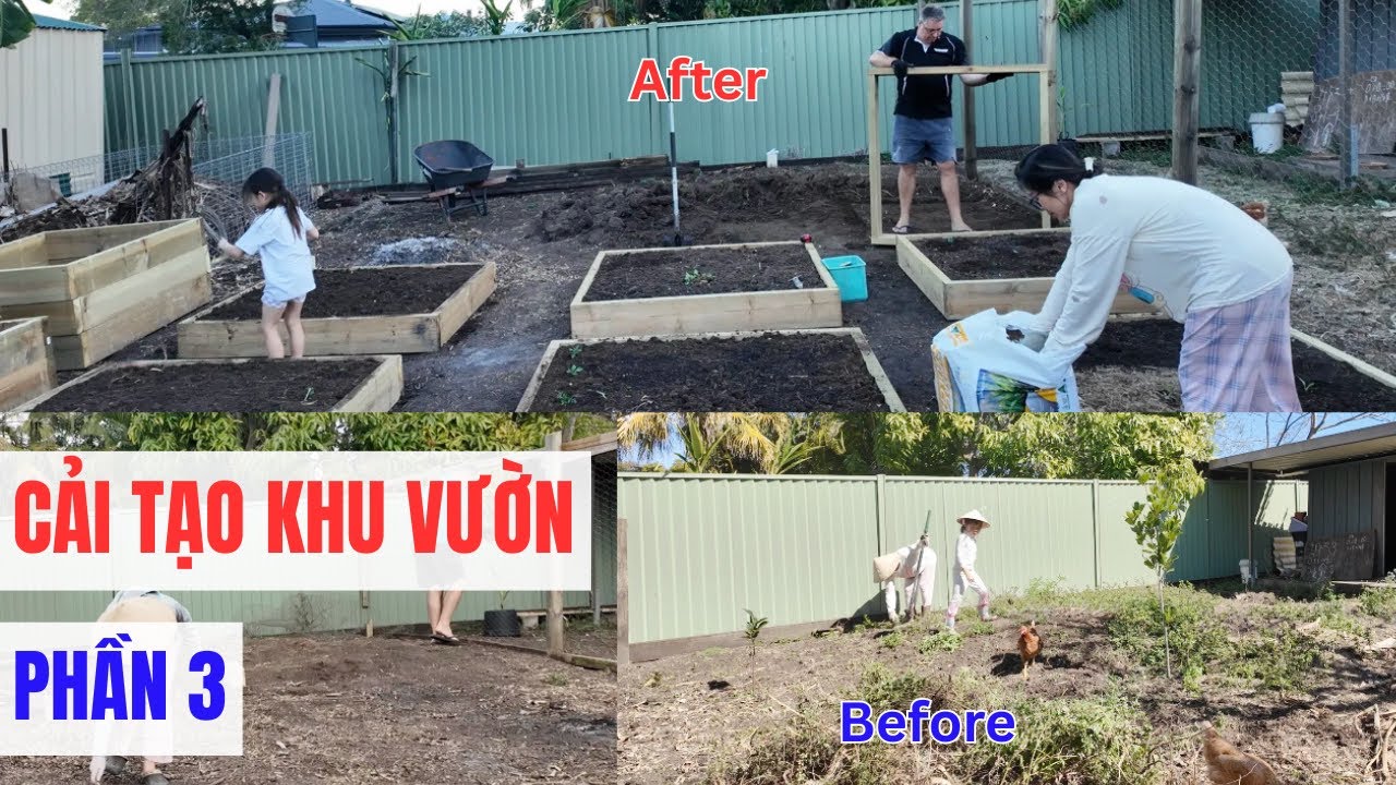 Làm Vườn Ở Úc - Cải Tạo Lại Khu Vườn Phía Sau Nhà - Bí Mật Sẽ Được Bật Mí - Phần 3