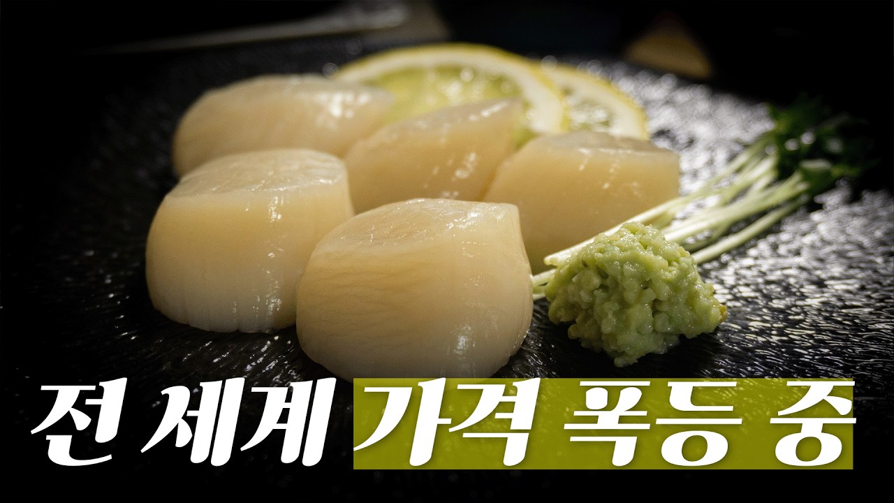 관자, 이제 먹고 싶어도 못먹습니다.
