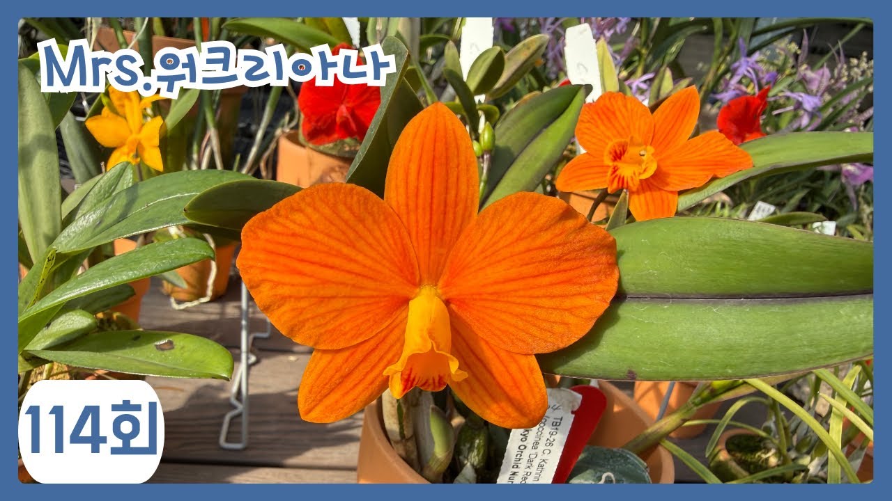 quadricolor 향에 취해보세요~